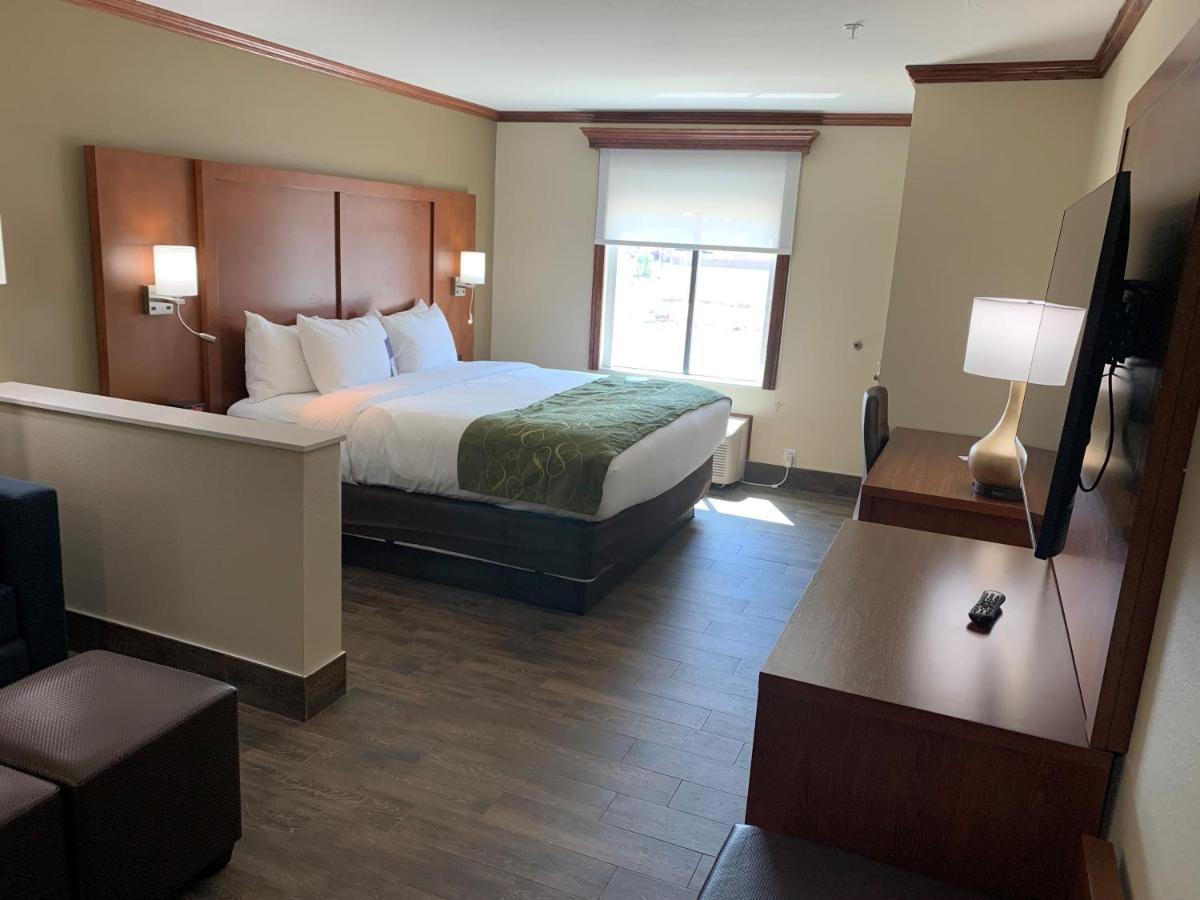 Comfort Suites West Monroe Near Ike Hamilton Expo Center Экстерьер фото