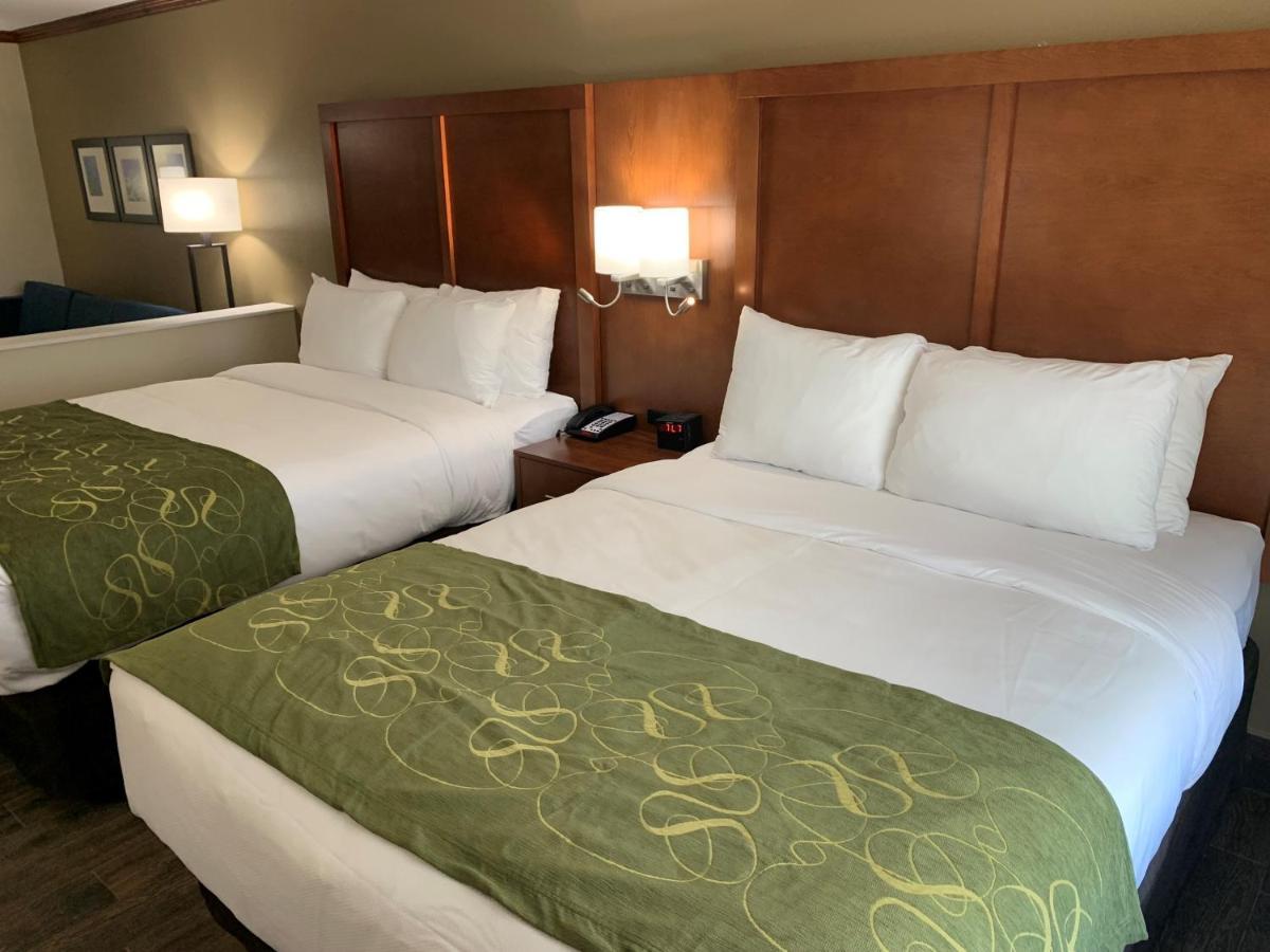 Comfort Suites West Monroe Near Ike Hamilton Expo Center Экстерьер фото
