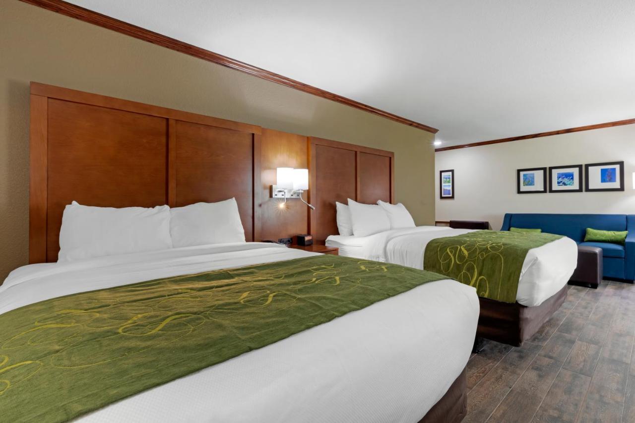 Comfort Suites West Monroe Near Ike Hamilton Expo Center Экстерьер фото